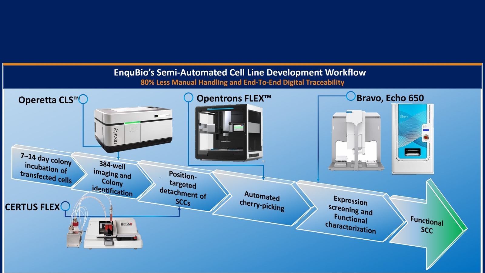Semi-Automated Cell Line Generation